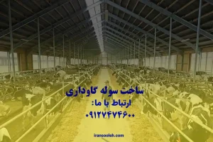 ساخت سوله گاو داری