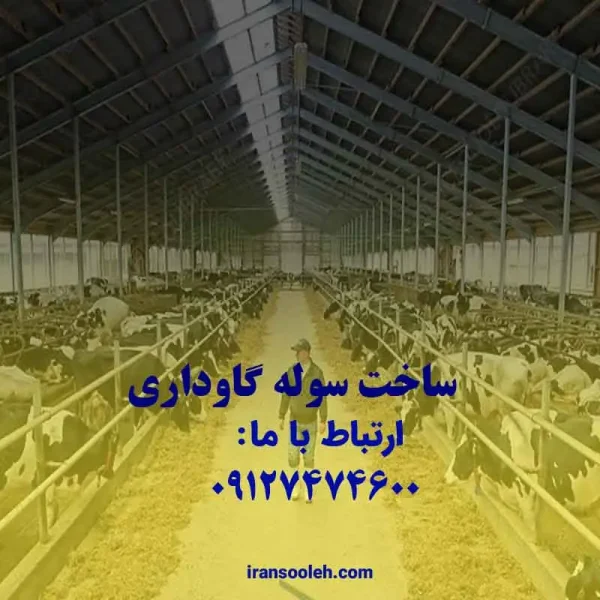 ساخت سوله گاو داری